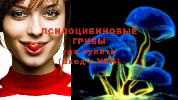 каннабис Алзамай