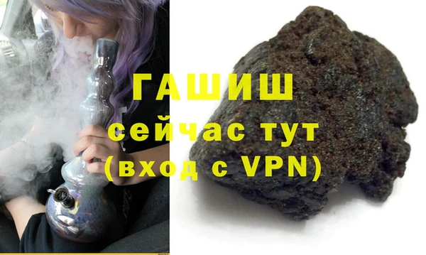 прущие грибы Новозыбков