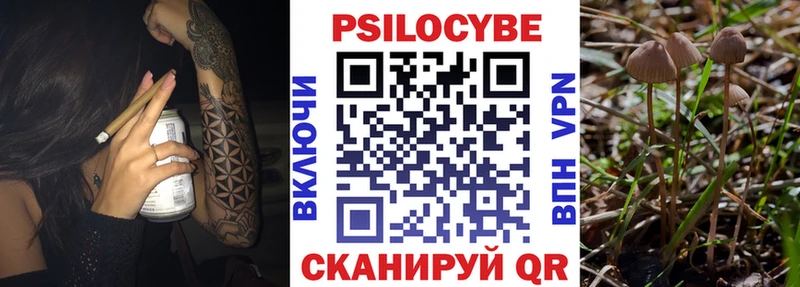 Галлюциногенные грибы MAGIC MUSHROOMS  Безенчук 